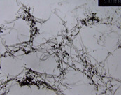 羧基化雙開口多壁碳納米管JCDOMT-95-5-1.25-COOH，JCDOMT-95-8-1.25-COOH，JCDOMT-95-11-1.25-COOH，JCDOMT-95-15-1.25-COOH，JCDOMT-95-25-1.25-COOH，JCDOMT-95-40-1.25-COOH，JCDOMT-95-50-1.25-COOH，