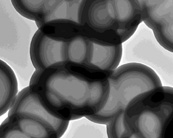 納米空心碳球及實(shí)心碳球改性產(chǎn)品JCHCS-99-550，JCSC-99-550-COOH，JCSC-99-550-NH2