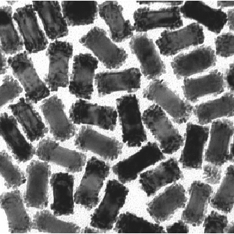 鈀、鉑包覆的金納米棒