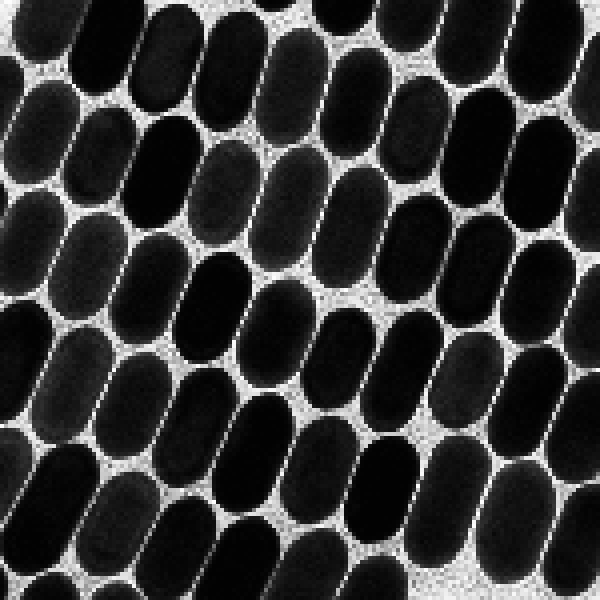 PEG@金納米棒（改性金納米棒）、PEG-NS修飾金納米球